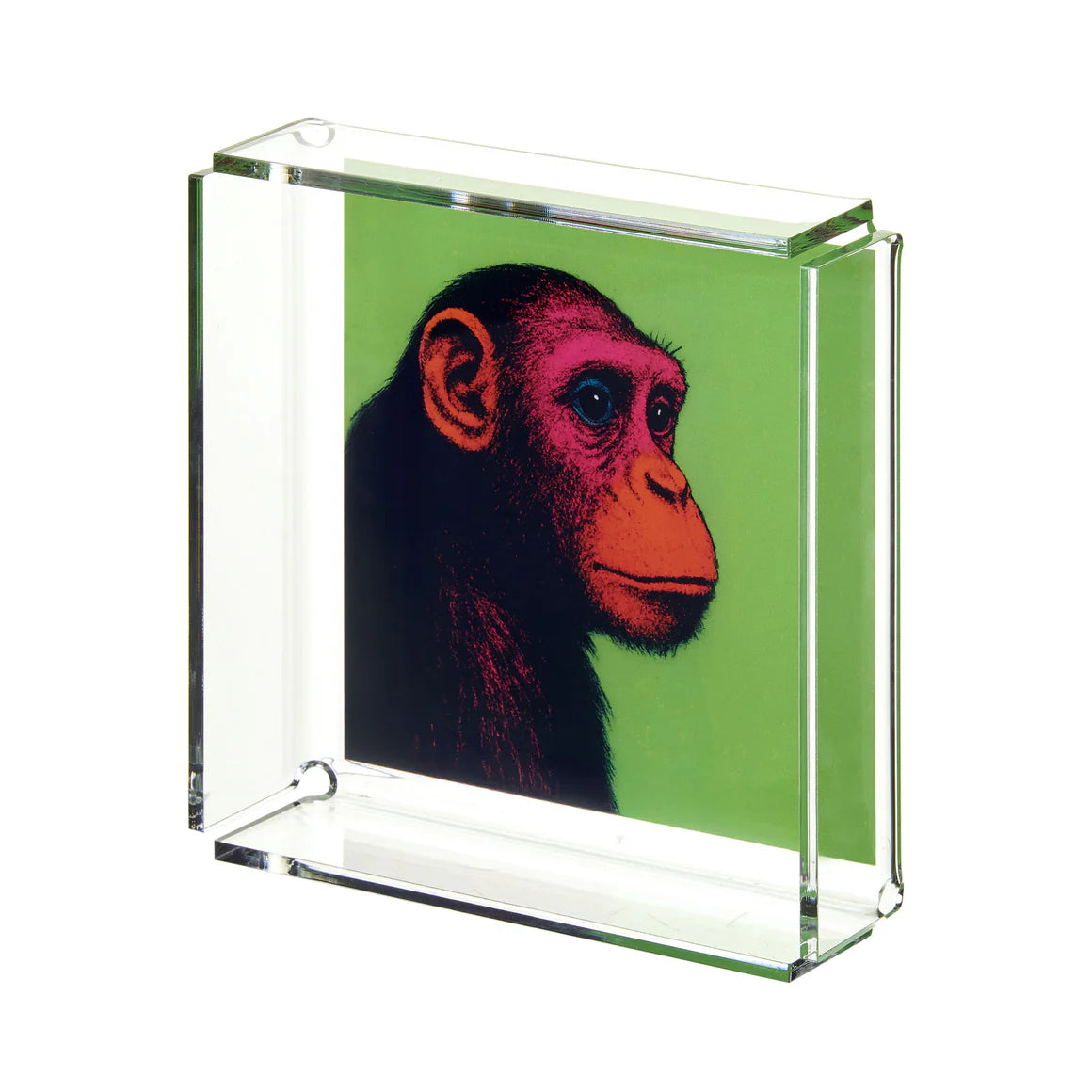Svuota Tasche Animali Linee Recanati