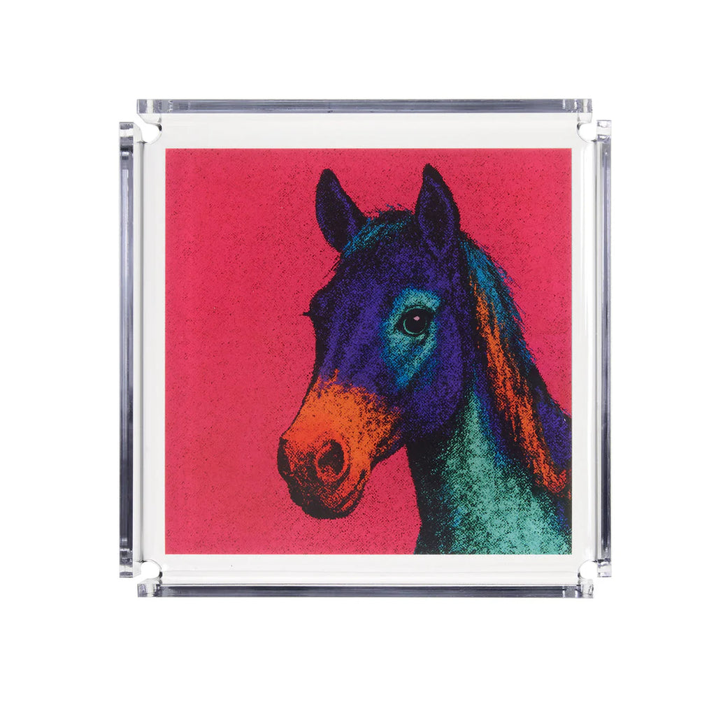 Svuota Tasche Animali Linee Recanati